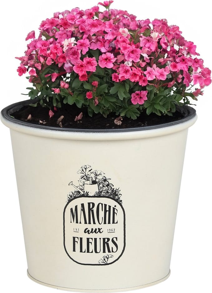 Sunnydays /plantenpot/bloempot - zink - ivoorwit - D19 x H16 cm