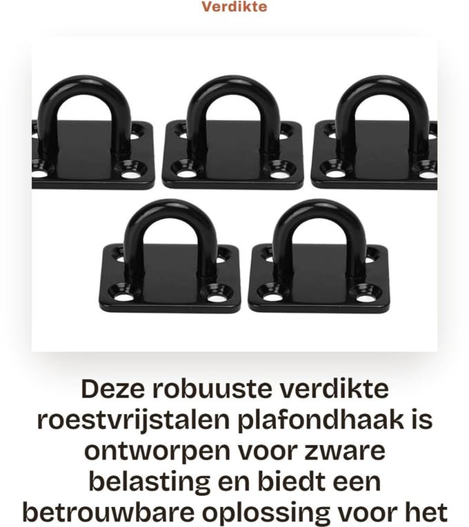 Dailygoods - Verdikte Roestvrijstalen Plafondhaak met Versterkte Belasting