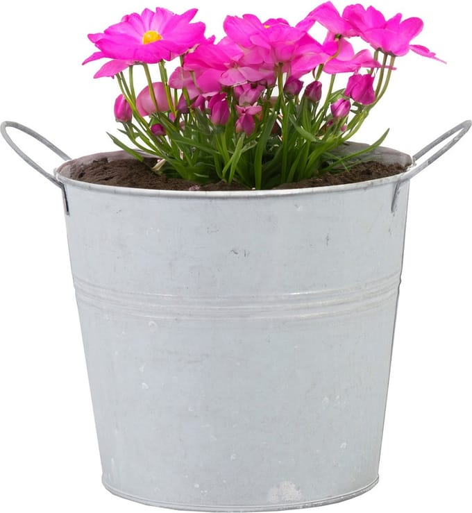 Mega Collections Plantenpot/bloempot/emmer - zink - whitewash - D14 x H12 cm