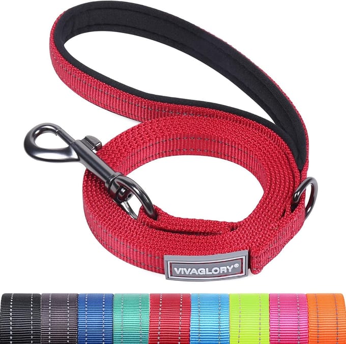 Hond Leash met Gevoerde Handgreep - Zware Reflecterende Nylon Training Leash voor Kleine en Grote Honden