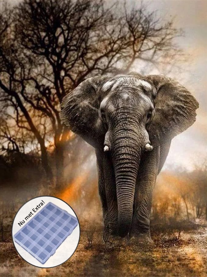 BJoy Diamond Painting 50x40 - Olifant Dieren
