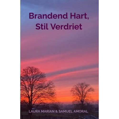 Brandend Hart, Stil Verdriet - Laura Marian