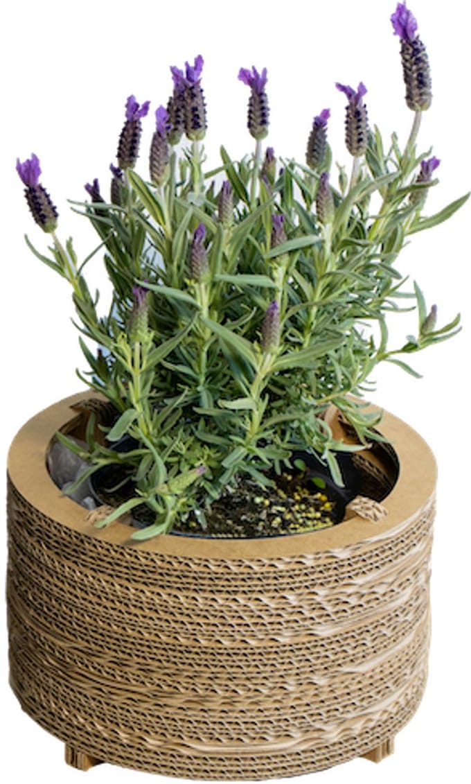 Kartonnen bloempot roos - Maat S - Diameters 21, 23, 25 cm - Kartent
