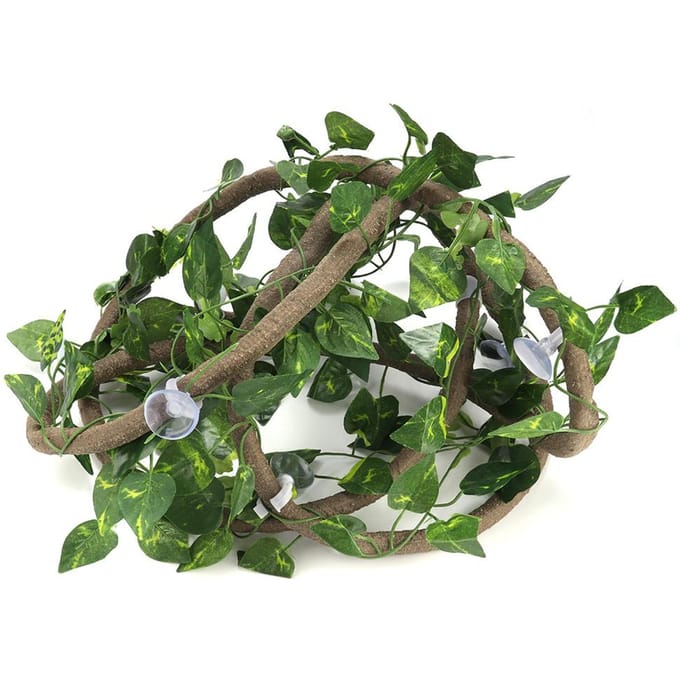 Reptielen Klimtak Flexibele Jungle 9,84ft Rotan 3 Lianas( 9.84ft Rotan+Scindapsus Bladeren) black
