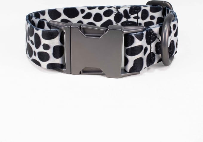 Luxe Halsband voor Honden-Metaal-Verstelbaar- 29 Cm-42Cm x 2,5 Cm-D14