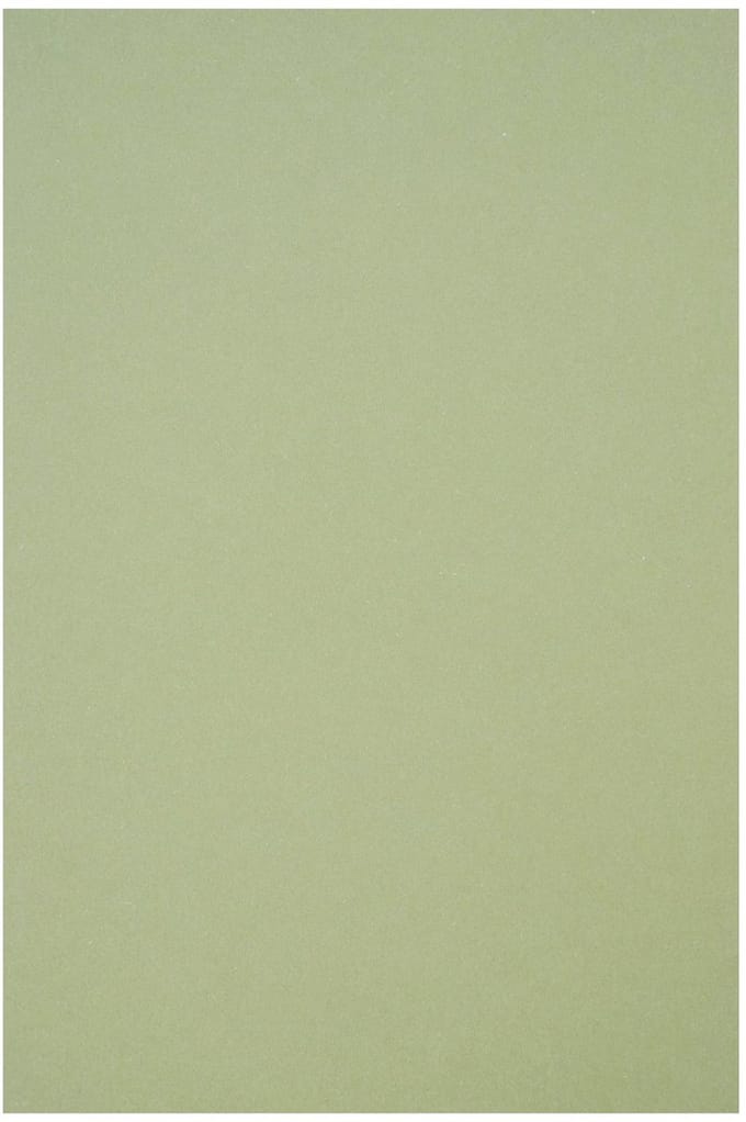 Netuno - groen ecologisch papier - A5 - 14,8 x 21 cm - 10 vellen - 250 gram - Crush Kiwi