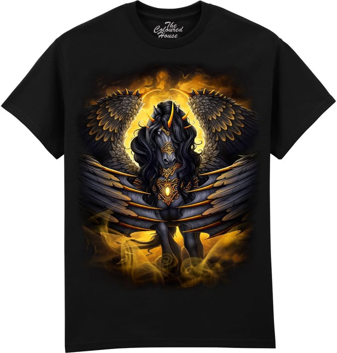 Black Pegasus The Coloured House T-shirt M