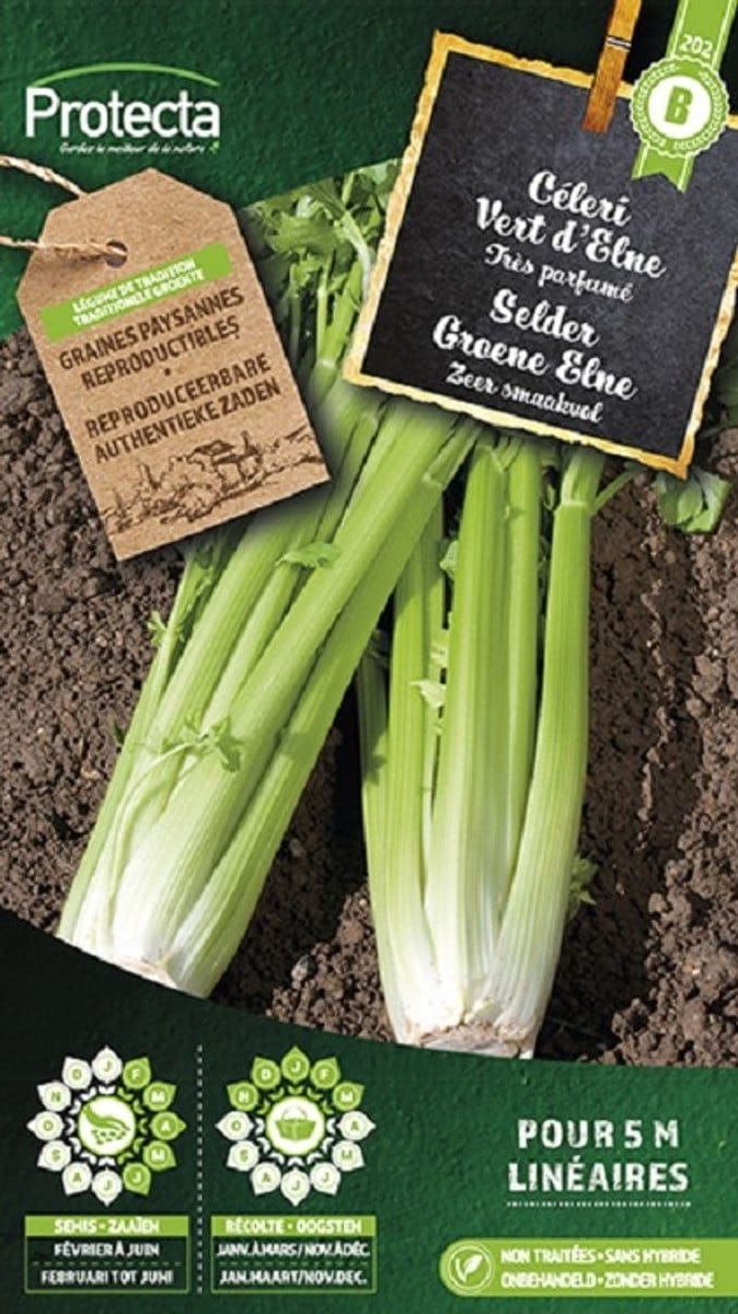 Protecta Groente zaden: Selder Groene Elne