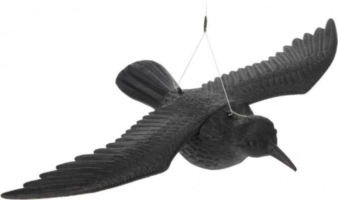 Hangende vogelverschikker raaf 40 cm