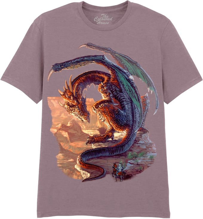 Draak Bravery Misplaced The Coloured House T-shirt S
