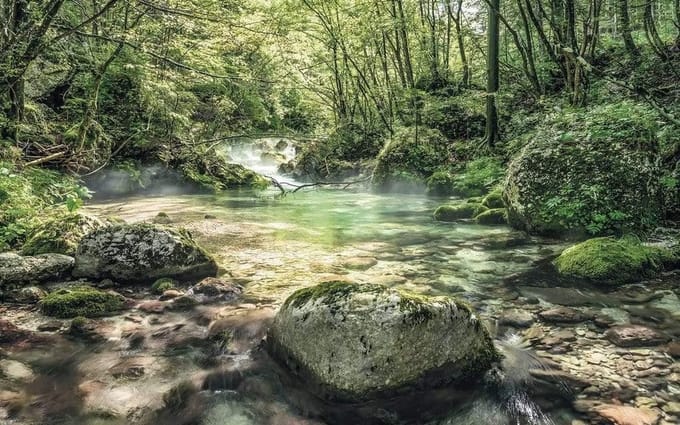 Fotobehang - Tranquil Pool 400x250cm - Vliesbehang