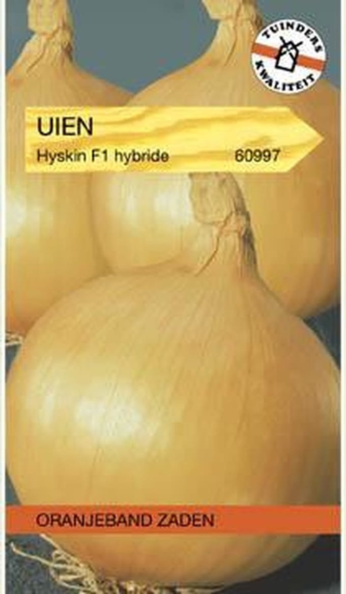 Oranjebandzaden -  Uien Hyskin F1