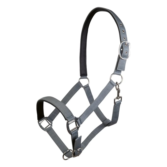 Nylon halster voor paard met zachte voering HKM Charming