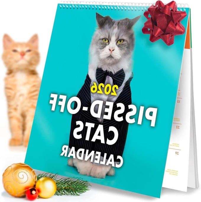 Grappige Katten Kalender - Muurplanner - Dagelijkse Planning - 150 Grappige Gelegenheden - 24 x 23.5 cm