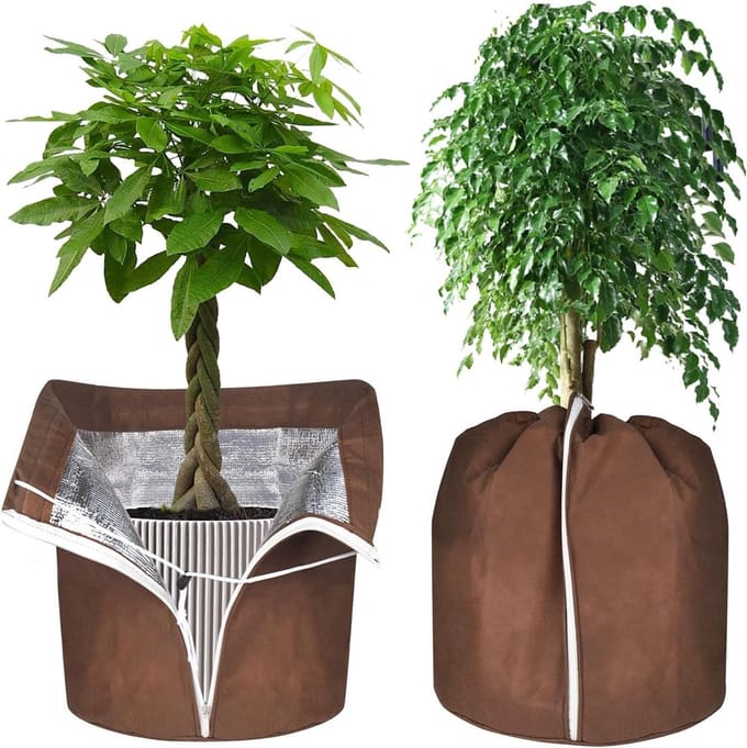 Solidchoice - Set van 2 Winter Plantbeschermers met Rits en Trekkoord