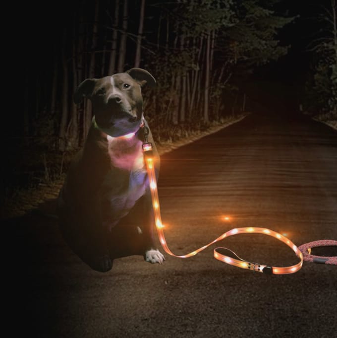 Lichtgevende hondenriem en halsband – Dog Leash