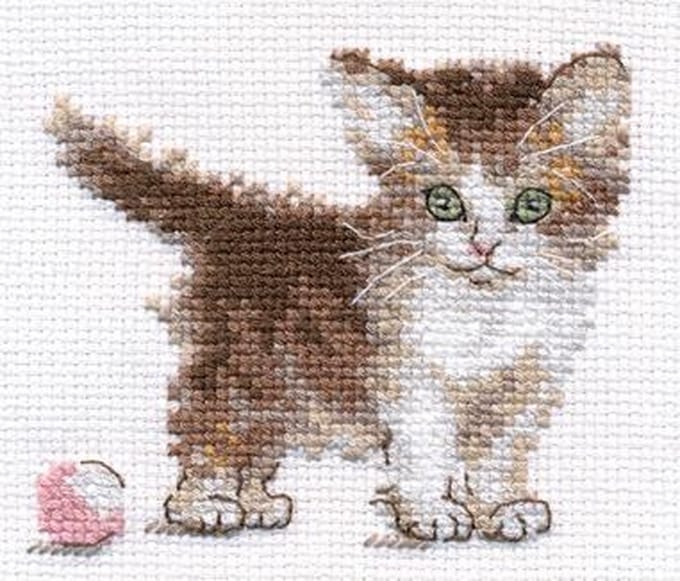 Kleine kitten borduren (pakket)
