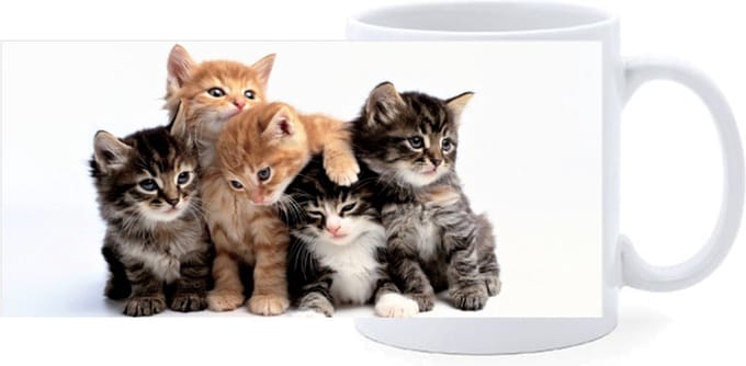 Beker - Kittens - Poes
