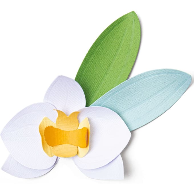 Sizzix Thinlits ponssjabloon "Orchid"