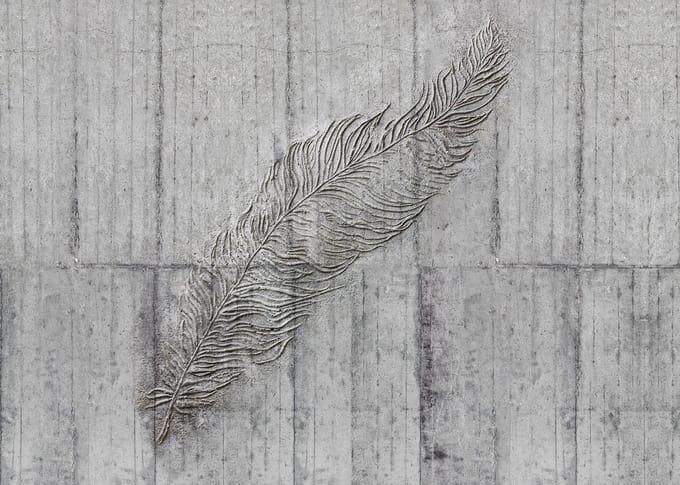 Fotobehang Concrete Feather - Grijs - 2,50m X 350cm