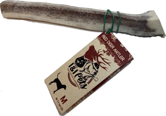 I & I Pets - Red Deer Antler - M