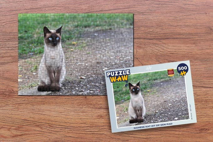 Puzzel Siamese kat zit op een pad - Legpuzzel - Puzzel 500 stukjes