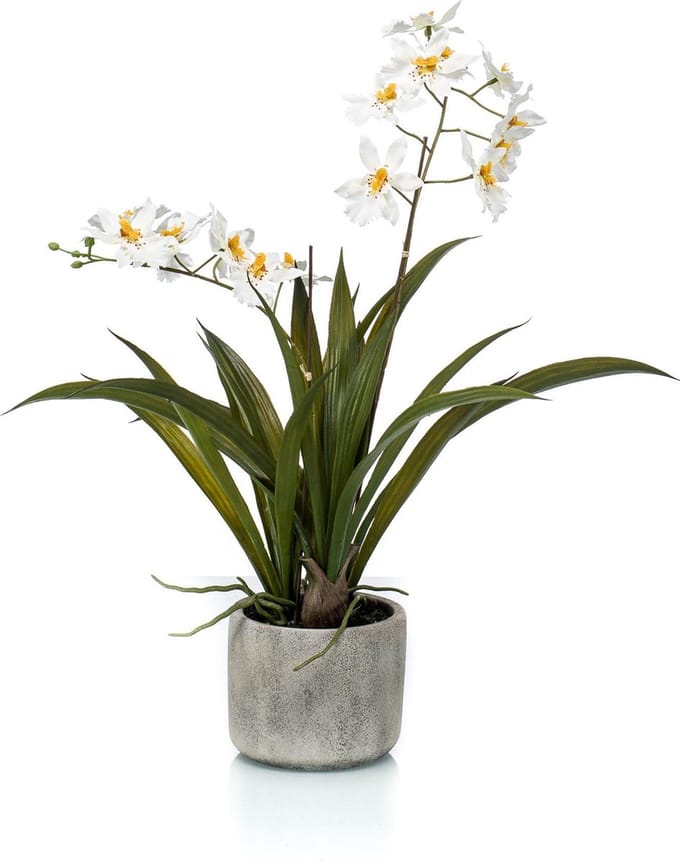 Emerald - Kunstplant in pot Oncidium wit 45cm - Kunstplant voor binnen