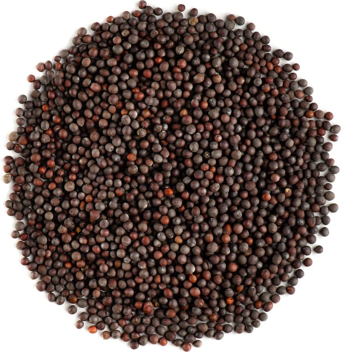 Zwarte Mosterd Zaden Geheel Bio - Bruin Mosterd Zaad Kruidig Ingrediënt - 700 gram