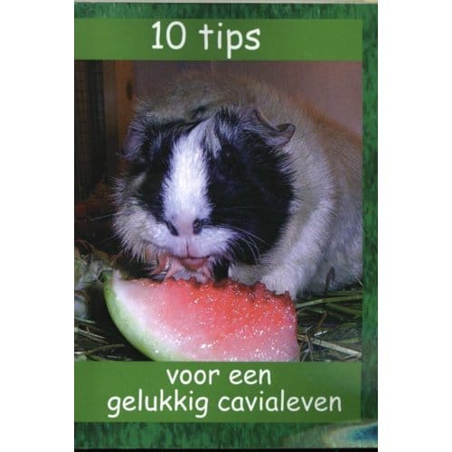 10 Tips Voor Een Gelukkig Cavialeven - De Grote Cavia