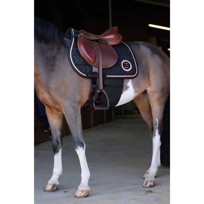 Respect band voor paard Norton