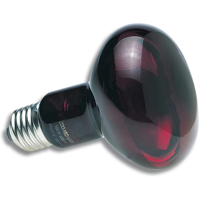 Verwarmde infrarood terrariumlamp Zoomed RS100