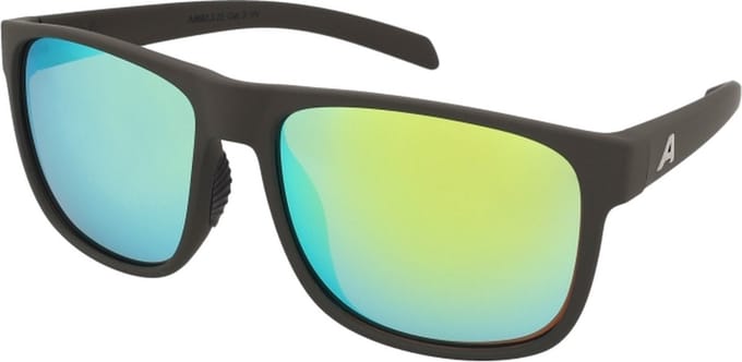 Zonnebrillen Alpina Nacan III Coffee Grey Matt