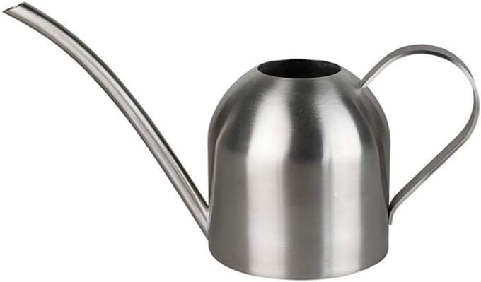 Mini RVS Waterkannetje voor Bureaubladplanten - 500ml