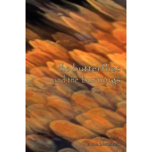 The Butterflies And The Burnings - Anne Blonstein