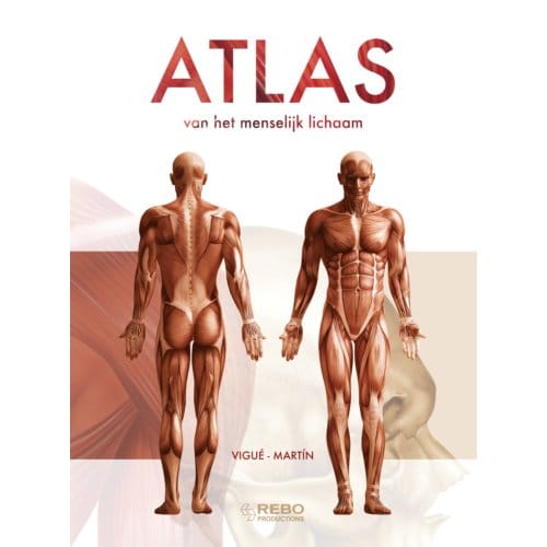 Atlas Van Het Menselijk Lichaam - Amersfoort Studio Imago
