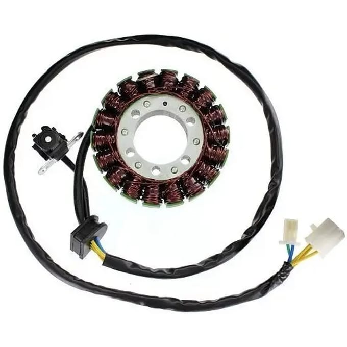 Originele aanpasbare motor dynamo Electrosport Suzuki