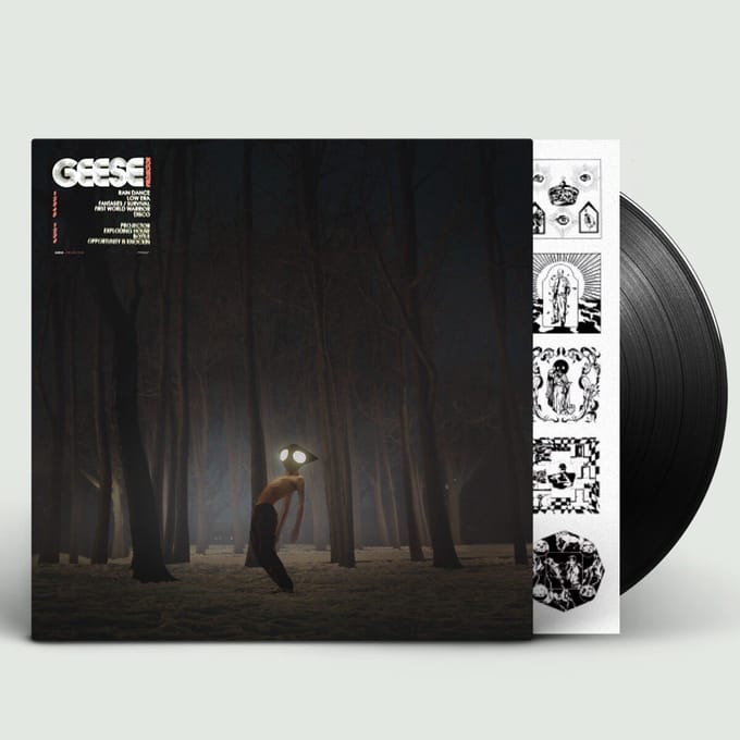 Projector - Geese