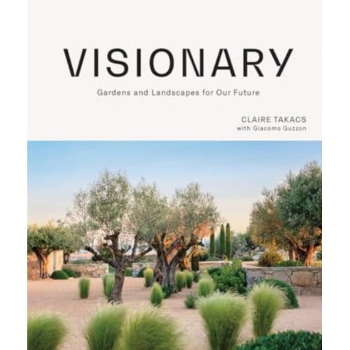 Visionary - Claire Takacs