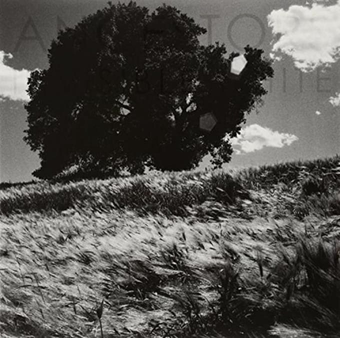 Invisible White - Ancestors