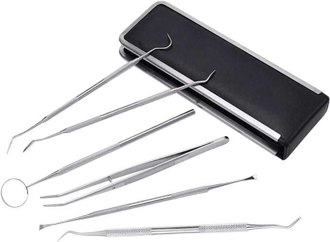 Professionele mondhygiëneset - 6 onderdelen met koffer