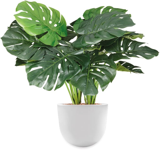 HTT - Kunstplant Monstera in Eggy wit H70 cm