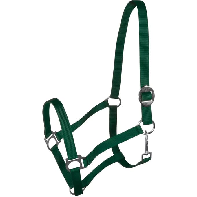 Halster voor paarden York Harmony