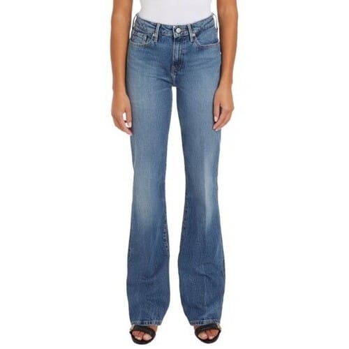 Jeans Tommy Hilfiger WW0WW42192