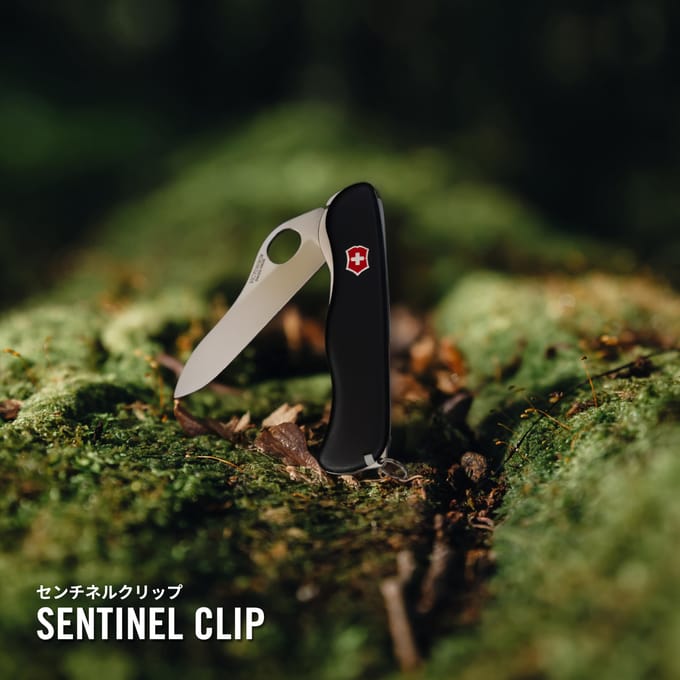 VICTORINOX Mes Vouwbaar Klein Sentinel Clip 0.8416.M3 white