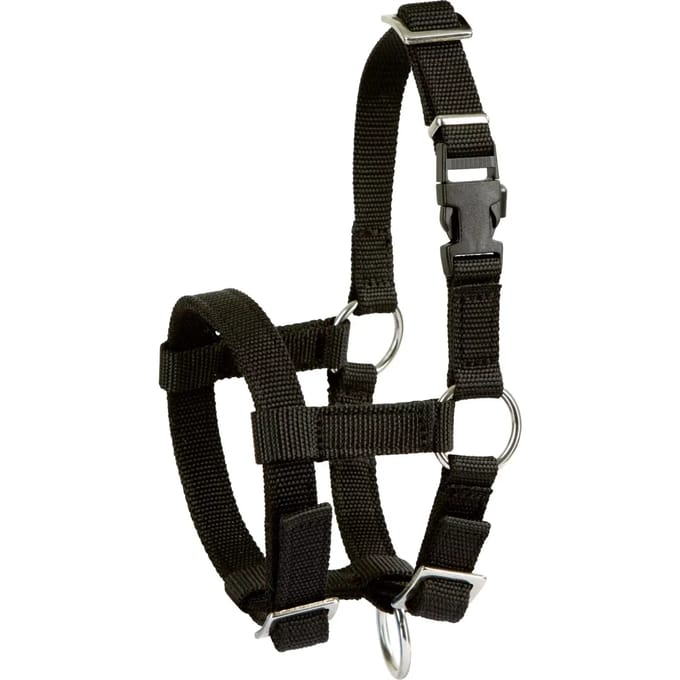 Kerbl Alpaca Halster zwart
