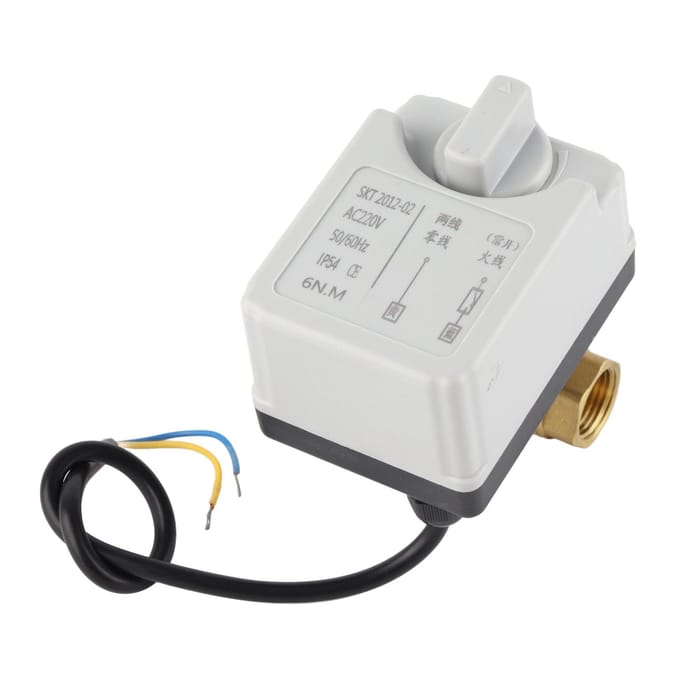 Gemotoriseerde Kogelkraan Elektrisch 2-Weg Normaal Open Handmatig Automatisch DN15 AC220V