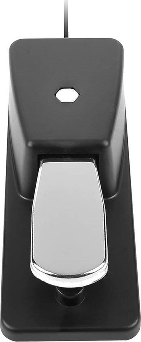 Boston GFS-25 - sustain pedaal digitale piano / keyboard