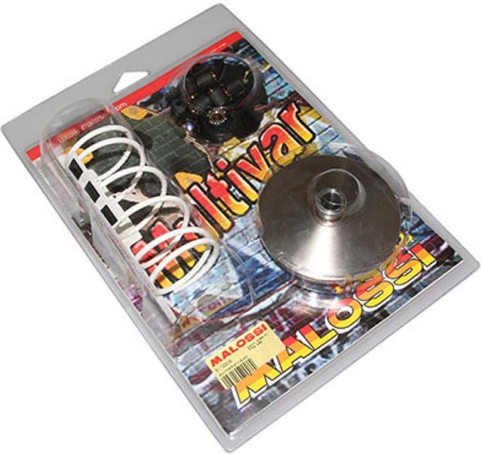 Variateur Malossi pour Quad Dinli 50 T-Rex Neuf