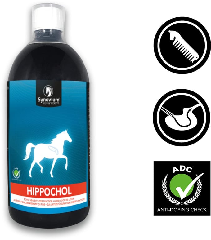 Synovium Hippochol - 1 l