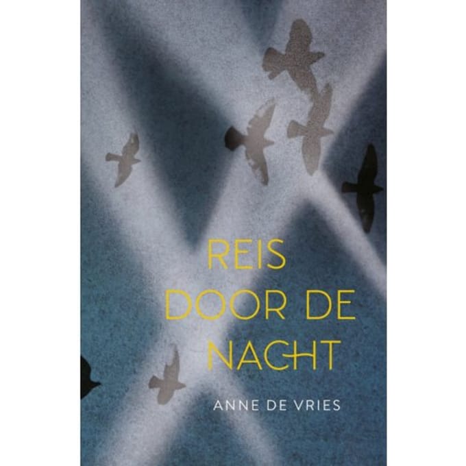 Reis Door De Nacht - Anne de Vries